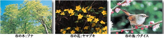 shiroishisynbol.jpg